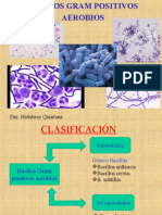 Bacilos Gram Positivos Aerobios