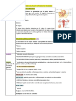 Anatomia, Histologia y Funciones Del Tracto Reproductor Femenino