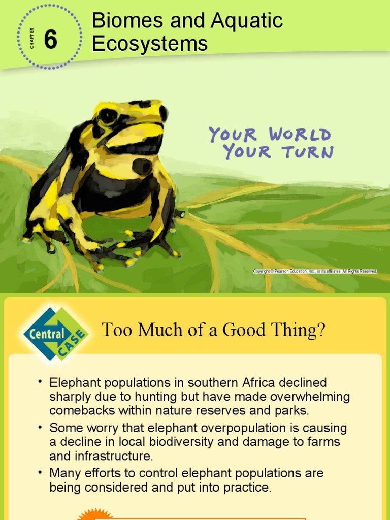 Environmental Science Your World Your Turn Chapter 6 Notes | PDF ...