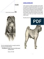 Illustrated Standard For The Chinese Shar-Pei: General Information