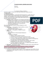 Apuntes Sistema Urinario TM 4