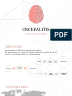 Encefalitis Ok