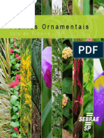 Catalogo Plantas Ornamentais Flor de Cactos.