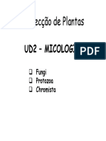 PP_UD2_Micologia