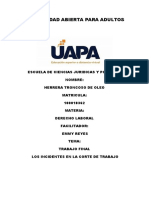 Trabajo Final de Derecho Laboral