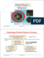 Cambridge Particle Physics Courses