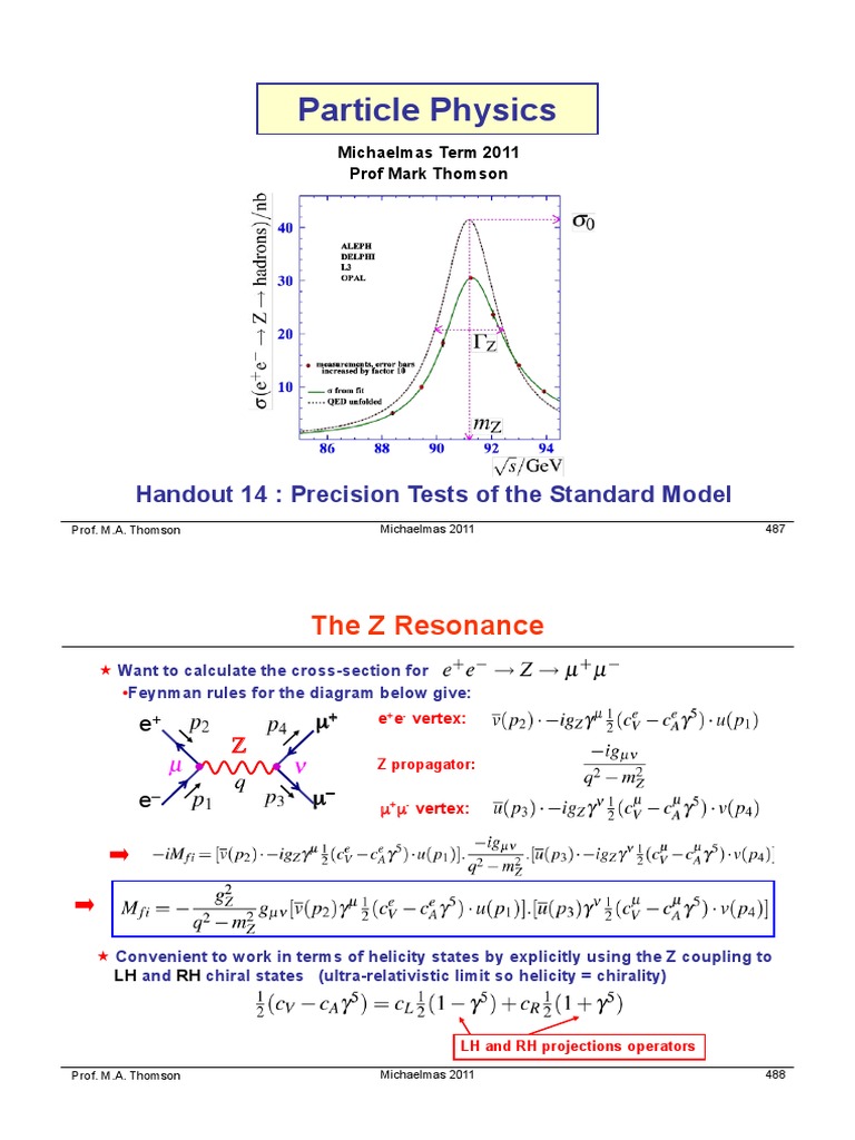 Particle Physics: The Z Resonance | PDF | Standard Model | Higgs Boson