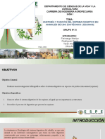 Grupo #5 .TN°3.Anatomía y Función Del Sistema Digestivo en Animales de Uso Zootécnico