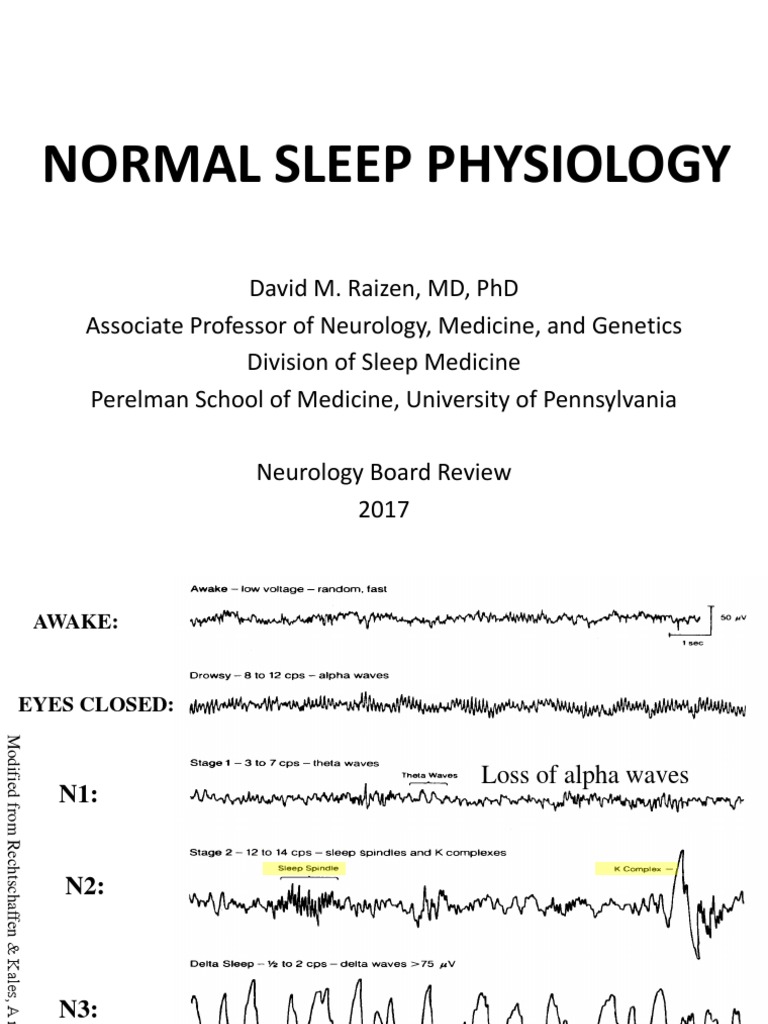 Normal Sleep Physiology Slides PDF Sleep Circadian Rhythm
