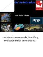 Introduccion Zoologia de Vertebrados2019