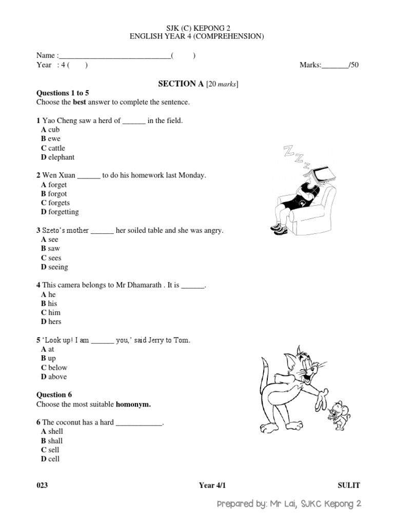 Year 4 Comprehension (2018) | PDF | Shoe | Vegetables