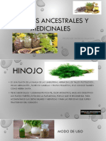 PLANTAS Ancestrales y Medicinales CLASE # 5