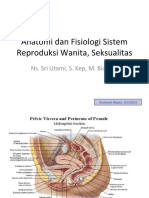 Anatomi Dan Fisiologi Sistem Reproduksi Wanita Dan Respon Seksual