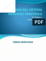 Fisiología Del Sistema Nervioso Periférico