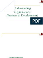 Understanding Organizations (Business & Development)