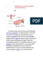 Proses Ovulasi, Fertilisasi, Implantasi dan Embryogenesis