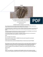 Trilobiti