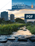 2020 Singapore Fourth Biennial Report