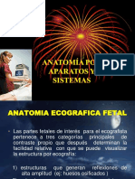 Unsaac Anatomia Por Sistemas y Aparatos