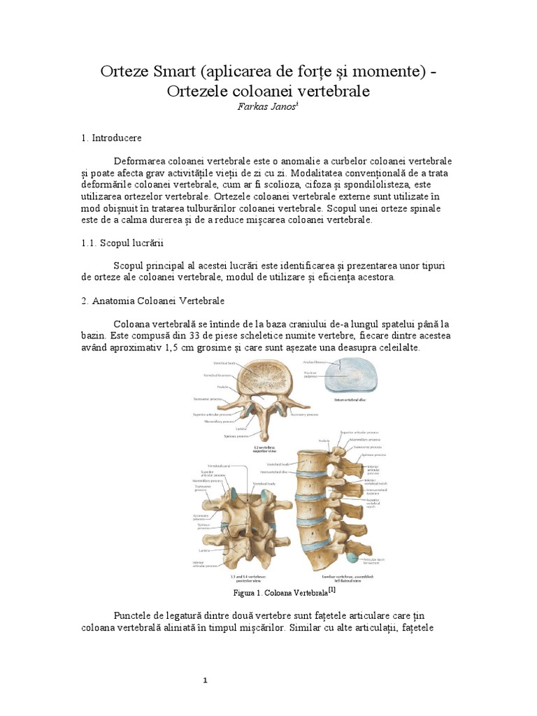 Coloana Vertebrala | PDF