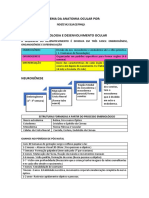 Esquema Da Anatomia Ocular