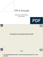 TVP Si Sincopa2020