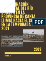 Informe Contaminacion Ambiental