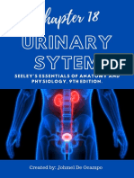 Anatomy & Physiology (Chapter 18 - Urinary System)