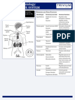 Anatomy & Physiology: The Endocrine System