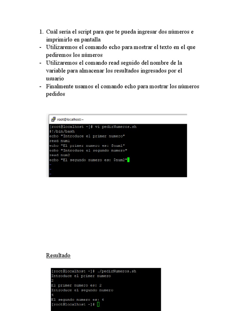 Bash Scripting. S.O. | PDF
