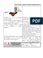 Atividade Correntes Convecção