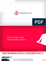 15 2021 Microbiologia de Las Enfermedades Pulpares