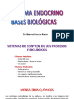 Sistema Endocrino Bases Biológicas