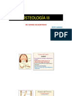 Osteología III: Huesos del cuello, tronco, miembros y características generales de las vértebras