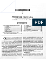 Ambiente e Doença (Bedendo, Amorim, Mattos-Jr - 2018)