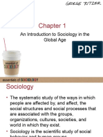 An Introduction To Sociology in The Global Age