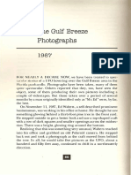 The Gulf Breeze UFO Photographs of 1987