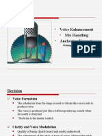 Voice Enhancement Mic Handling Anchoring Formats