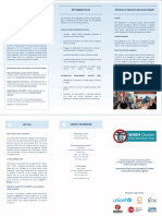 Background To The Wash Cluster RRT RRT Member Roles Process of Request and Development