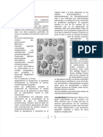 Dokumen - Tips Foraminiferos 21
