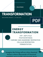 Wesleyan University - Philippines: Energy Transformation