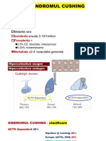 Curs 5 Cushing, Hiperaldo 2021 Stud