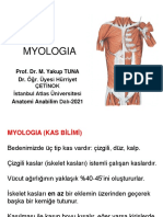 Myologia Atlas 2021-S&M