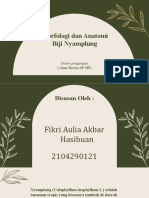 Morfologi dan anatomi biji nyamplung Fikri Aulia Akbar Hasibuan 2104290121