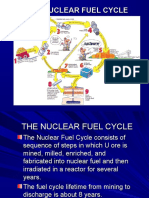 Deb Fuel Cycle 2013