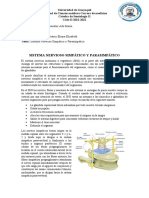 Sistema Nervioso Simpatico y Parasimpatico