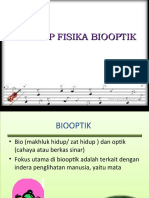 Konsep Fisika Biooptik Revisi