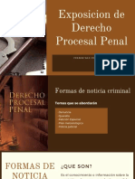 Exposicion de Derecho Procesal Penal