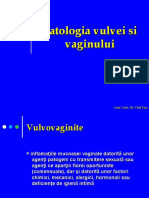 Patologia Vulvei Si Vaginului