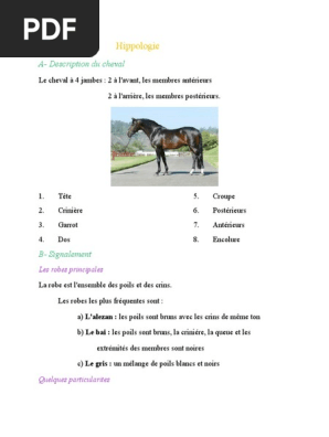 Quiz Galop 3 (Le membre antérieur) - Equitation